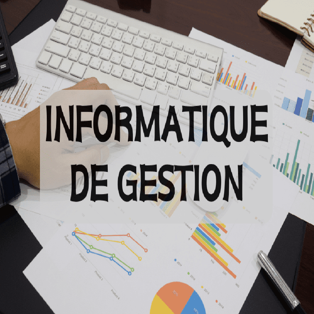 Cours d'Informatique de Gestion